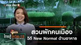 สวนผักคนเมือง วิถี New Normal ด้านอาหาร