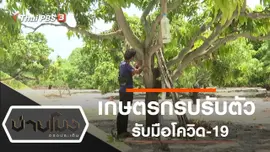 ประเด็นข่าว (8 มิ.ย. 63)