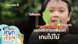 แรงและการเคลื่อนที่, เกมใบไม้