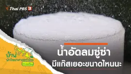 น้ำอัดลมซู่ซ่า