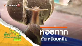 ตัวเหนียวหนึบ