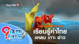 แหลม เกาะ อ่าว