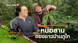หน่อสาน