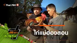 ไก่แม่ฮ่องสอน