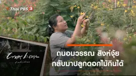 ถนอมวรรณ สิงห์จุ้ย : กลับมาปลูกดอกไม้กินได้