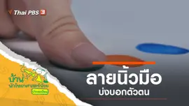 ลายนิ้วมือ
