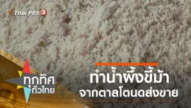 ทำน้ำผึ้งขี้ม้าจากตาลโตนดขาย
