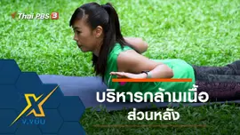 ท่าออกกำลังกายบริหารกล้ามเนื้อส่วนหลัง