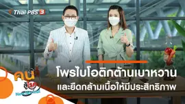 โพรไบโอติกต้านเบาหวาน, ยืดกล้ามเนื้ออย่างไรให้มีประสิทธิภาพสูงสุด