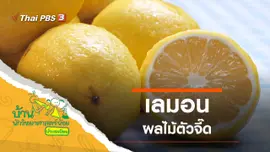 ผลไม้ตัวจี๊ด