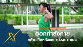 ออกกำลังกายกล้ามเนื้อหลังและกล้ามเนื้อส่วน HAMSTRING
