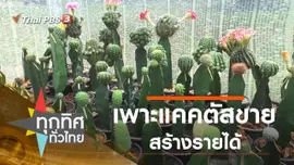 เพาะแคคตัสขายสร้างรายได้