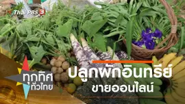 ปลูกผักอินทรีย์ขายออนไลน์