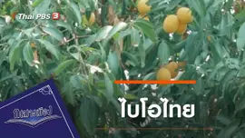 ไบโอไทย