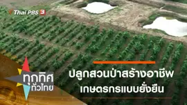 ปลูกสวนป่าสร้างอาชีพเกษตรกรแบบยั่งยืน จ.นครสวรรค์