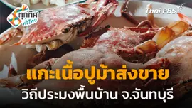 แกะเนื้อปูม้าส่งขาย วิถีประมงพื้นบ้าน จ.จันทบุรี 