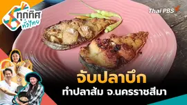 ชาวบ้านจับปลาบึกทำปลาส้ม จ.นครราชสีมา