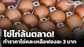 ไข่ไก่ล้นตลาด! ทำราคาไข่คละเหลือฟองละ 3 บาท