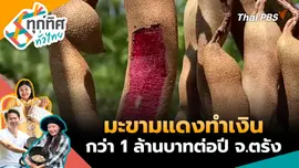 มะขามแดงทำเงินกว่า 1 ล้านบาทต่อปี จ.ตรัง