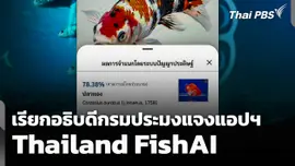 เรียกอธิบดีกรมประมงแจง แอปฯ "Thailand FishAI"