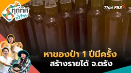 หาของป่า 1 ปีมีครั้งสร้างรายได้ จ.ตรัง