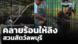 คลายร้อนให้ "ลิง" สวนสัตว์ลพบุรี