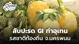 สับปะรด GI ท่าอุเทน จ.นครพนม