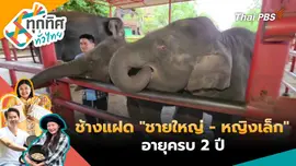 ช้างแฝด "ชายใหญ่ - หญิงเล็ก" อายุครบ 2 ปี