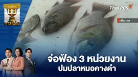 จ่อฟ้อง 3 หน่วยงาน ปมปลาหมอคางดำ