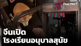 จีนเปิดโรงเรียนอนุบาลสุนัข