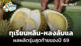 ทุเรียนหลิน-หลงลับแล ผลผลิตรุ่นสุดท้ายของปี