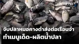 จับปลาหมอคางดำส่งต่อเรือนจำทำเมนูเด็ด-ผลิตน้ำปลา 