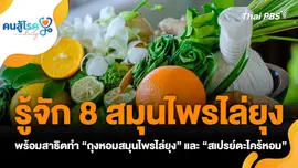 รู้จัก 8 สมุนไพรไล่ยุง