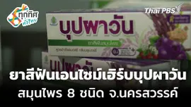 ยาสีฟันเอนไซม์เฮิร์บบุปผาวัน จากสมุนไพร 8 ชนิด จ.นครสวรรค์