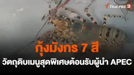 ​สีสันวาไรตี้ : กุ้งมังกร 7 สี วัตถุดิบเมนูสุดพิเศษต้อนรับผู้นำ APEC
