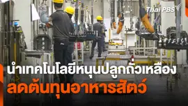 นำเทคโนโลยีหนุนปลูก "ถั่วเหลือง" ลดต้นทุนอาหารสัตว์