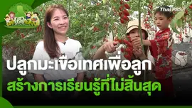พอดีพอเพียง : ปลูกมะเขือเทศเพื่อลูก สร้างการเรียนรู้ที่ไม่สิ้นสุด