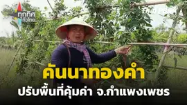 คันนาทองคำปรับพื้นที่คุ้มค่า จ.กำแพงเพชร