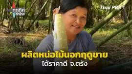 ผลิตหน่อไม้นอกฤดูขายได้ราคาดี จ.ตรัง