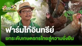 พอดีพอเพียง : ฟาร์มไก่อินทรีย์ ยกระดับเกษตรกรไทยสู่ความยั่งยืน