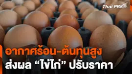 อากาศร้อน-ต้นทุนสูง ส่งผล "ไข่ไก่" ปรับราคา
