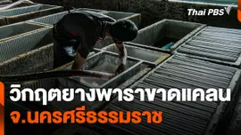 วิกฤตยางพาราขาดแคลน จ.นครศรีธรรมราช