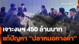 เจาะงบฯ 450 ล้านบาท แก้ปัญหา “ปลาหมอคางดำ”