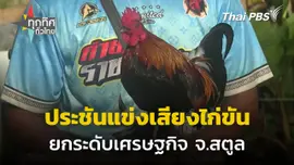 ประชันแข่งเสียงไก่ขันยกระดับเศรษฐกิจ จ.สตูล