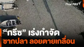 “กรีซ” เร่งกำจัดซากปลา ลอยตายเกลื่อน
