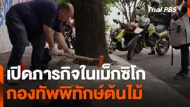 กองทัพพิทักษ์ต้นไม้เม็กซิโก
