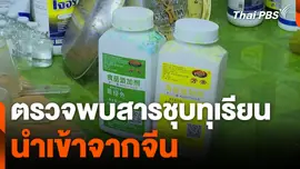 ตรวจพบสารชุบทุเรียน นำเข้าจากจีน