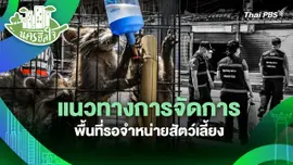 นครฮีลใจ : แนวทางการจัดการพื้นที่รอจำหน่ายสัตว์เลี้ยง