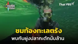 ชมท้องทะเลตรังกับฝูงปลากะตักนับล้าน