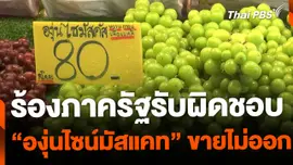 ผู้ขายร้องภาครัฐรับผิดชอบ "องุ่นไซน์มัสแคท" ขายไม่ออก